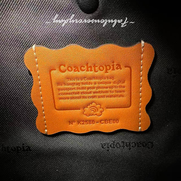 Coach Alter/Ego Slouchy Shoulder Bag In Checkerboard Leather Coachtopia CBE00 - Picture 9 of 9